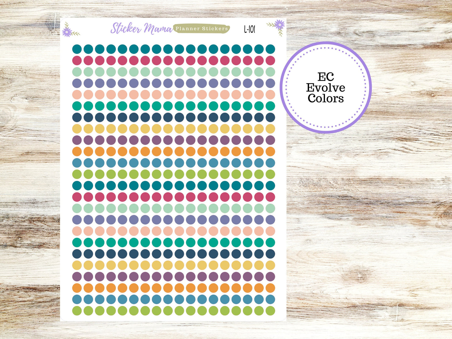 EC COLOR CIRCLES || Erin Condren Dots || 2024-2025 Colors || Evolve, Bold Blooms, Canvas