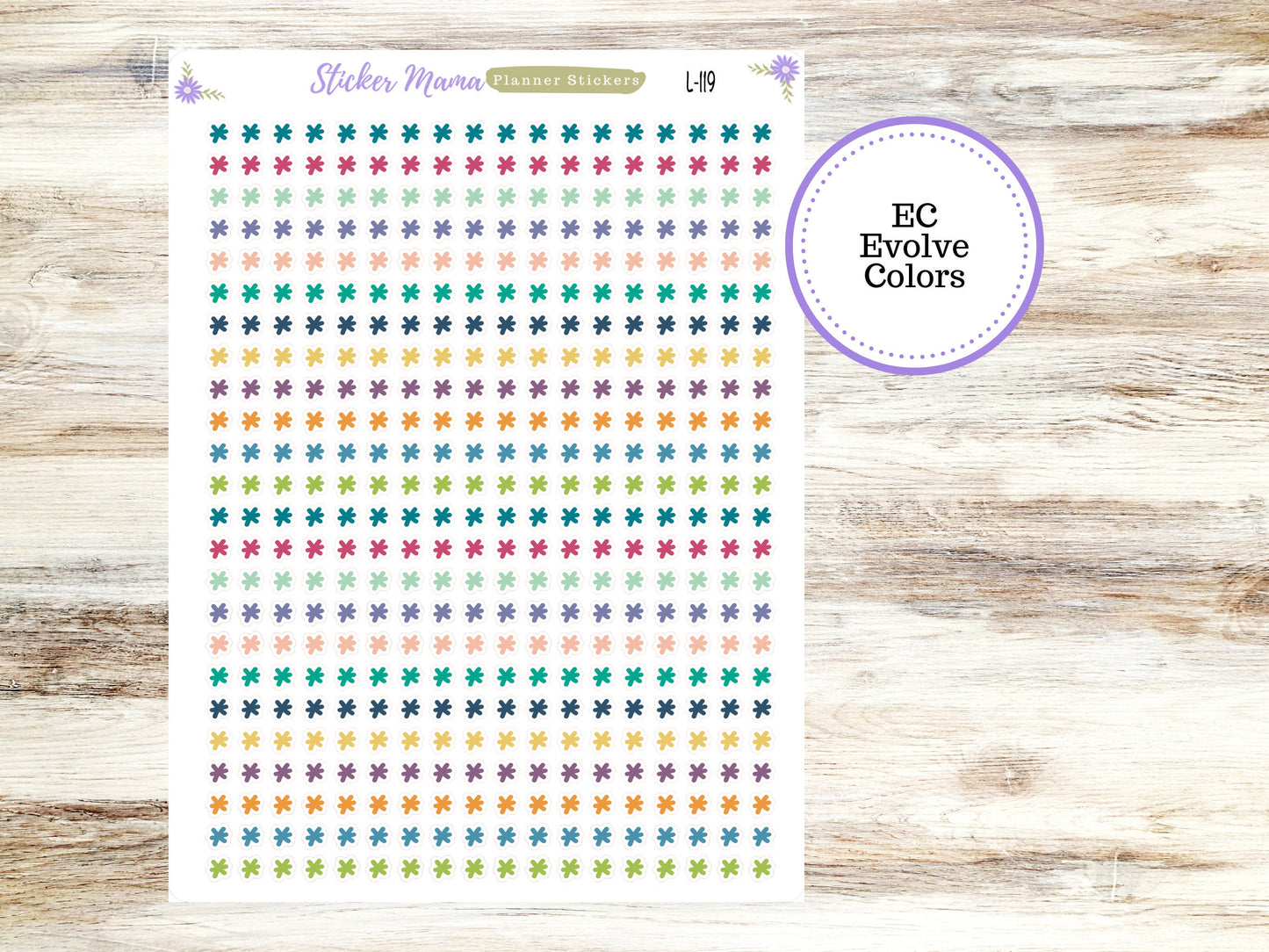 EC COLOR ASTRICKS || Erin Condren Dots || 2024-2025 Colors || Evolve, Bold Blooms, Canvas