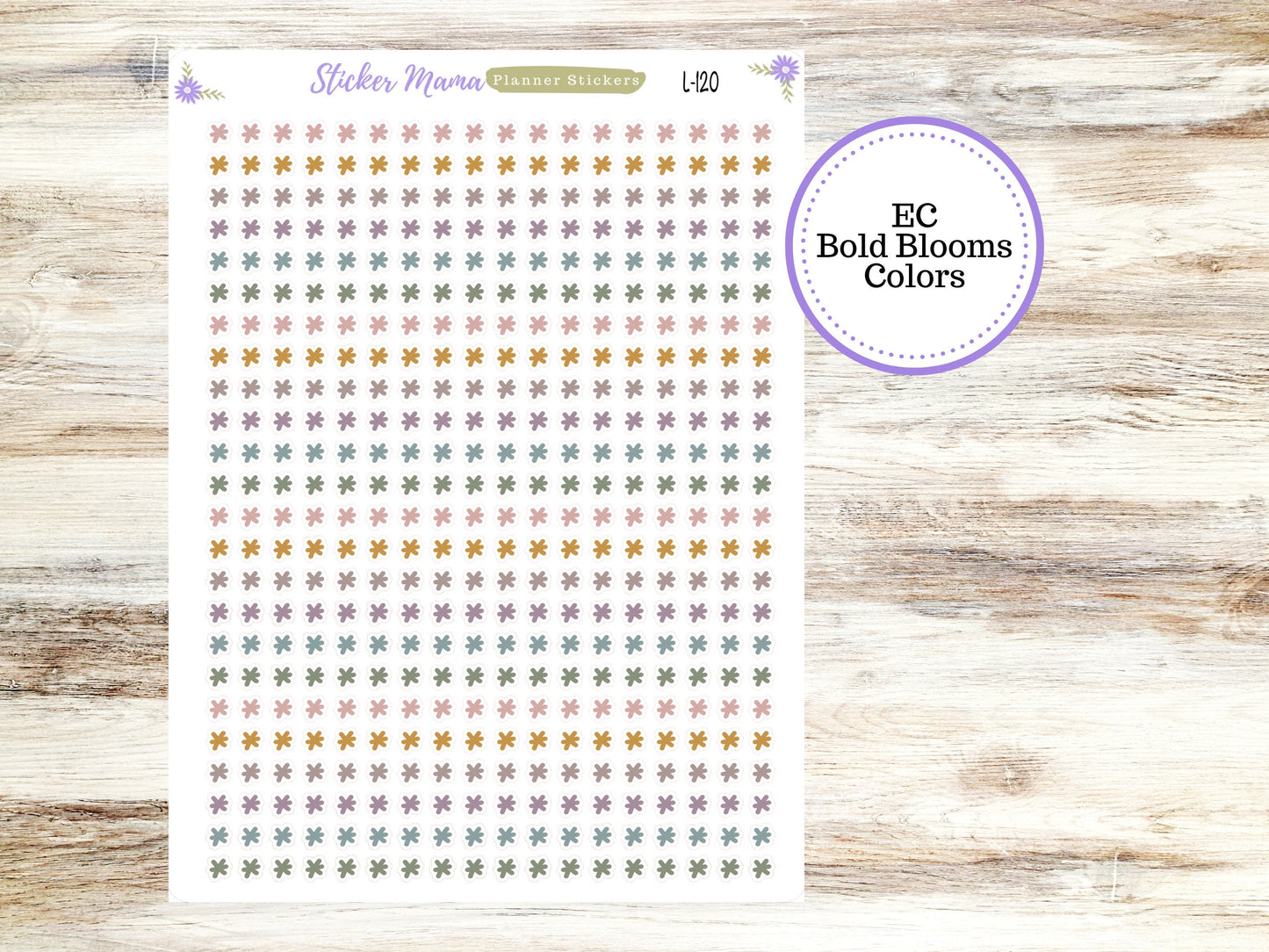 EC COLOR ASTRICKS || Erin Condren Dots || 2024-2025 Colors || Evolve, Bold Blooms, Canvas