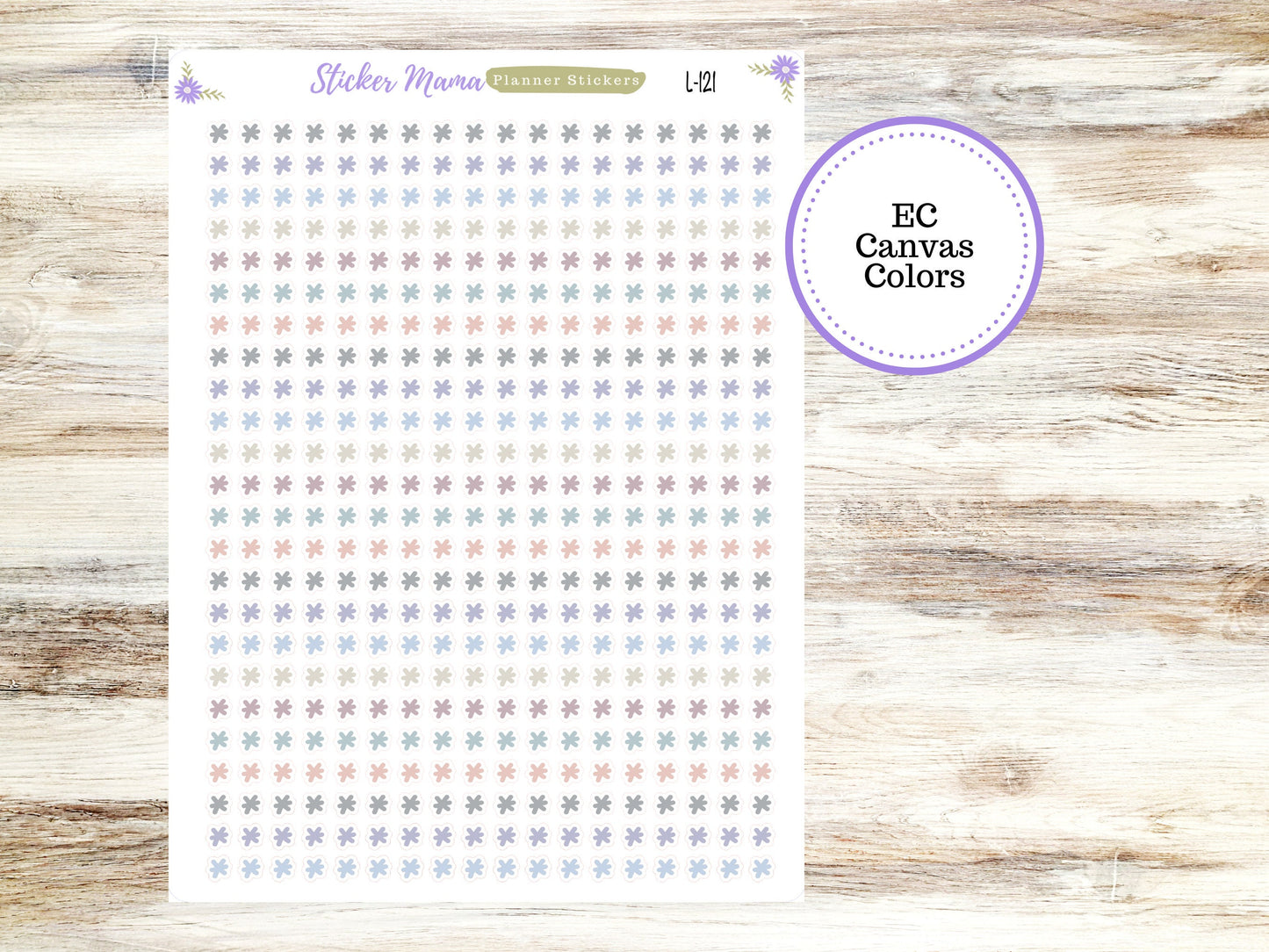 EC COLOR ASTRICKS || Erin Condren Dots || 2024-2025 Colors || Evolve, Bold Blooms, Canvas