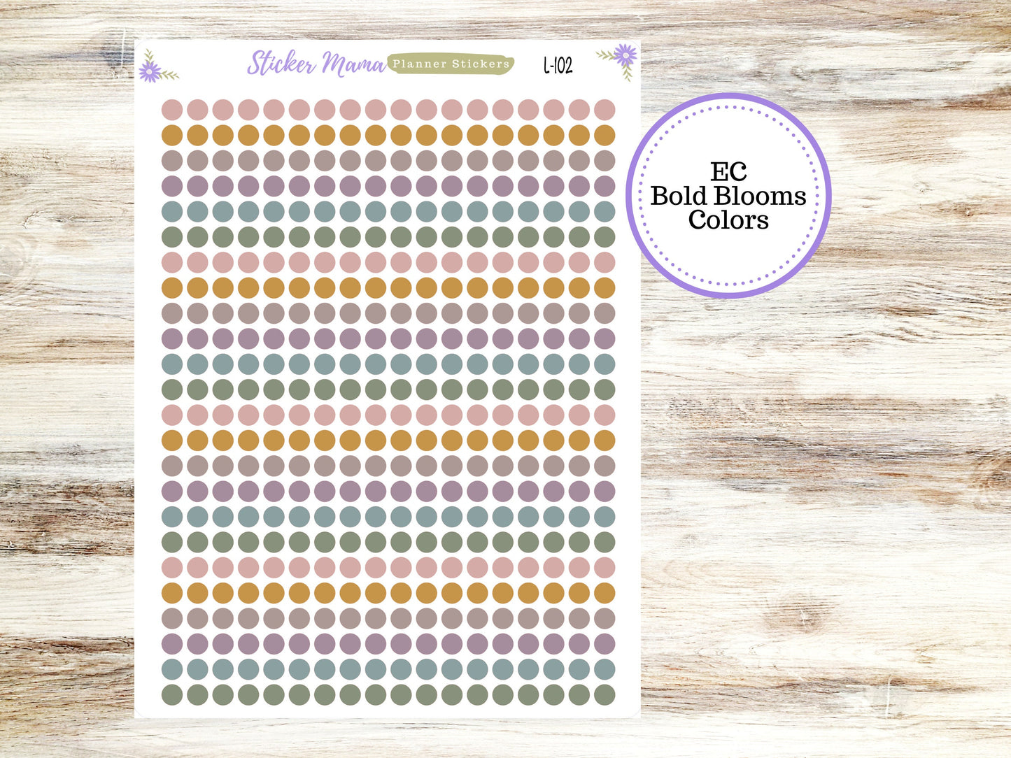 EC COLOR CIRCLES || Erin Condren Dots || 2024-2025 Colors || Evolve, Bold Blooms, Canvas