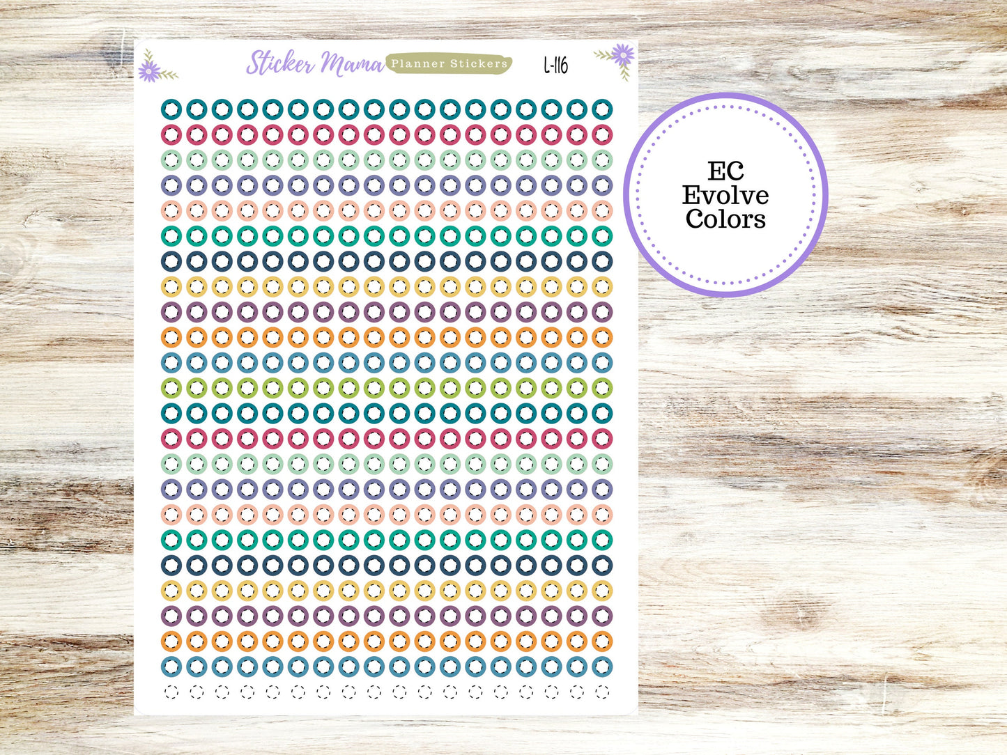 EC COLOR CIRCLES w/dashed white middle || Erin Condren Dots || 2024-2025 Colors || Evolve, Bold Blooms, Canvas