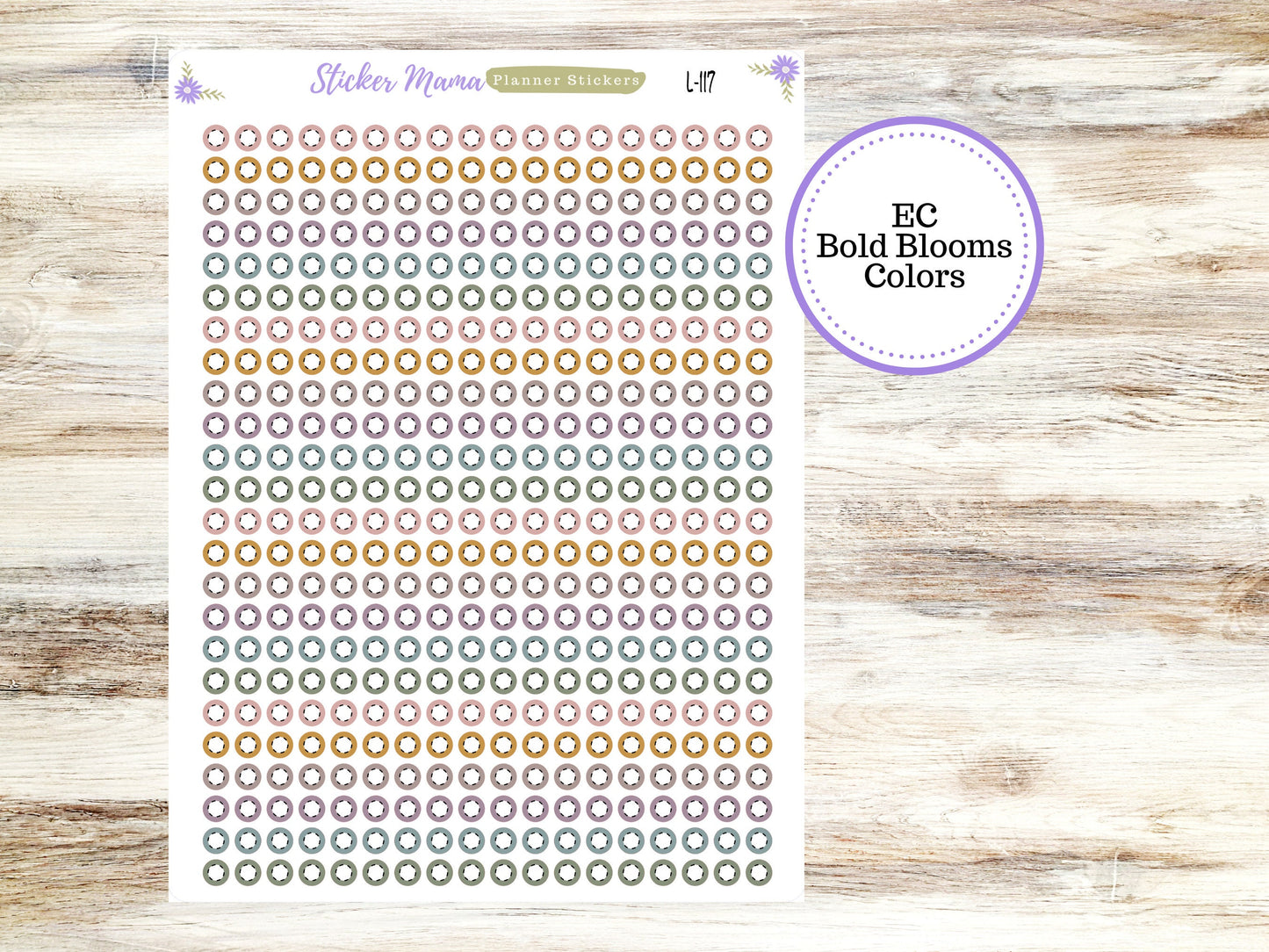 EC COLOR CIRCLES w/dashed white middle || Erin Condren Dots || 2024-2025 Colors || Evolve, Bold Blooms, Canvas