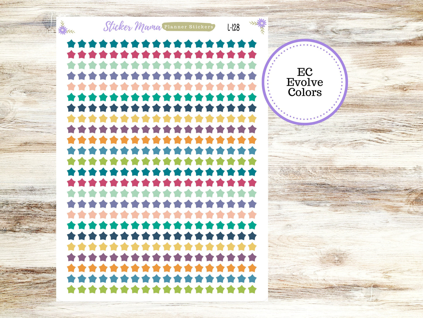 EC COLOR STARS  || Erin Condren Stars || 2024-2025 Colors || Evolve, Bold Blooms, Canvas