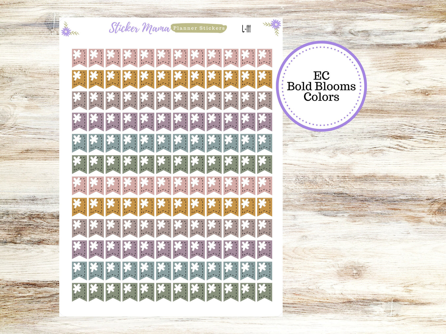 EC COLOR FLAGS - Dashed || Erin Condren Flags || 2024-2025 Colors || Evolve, Bold Blooms, Canvas