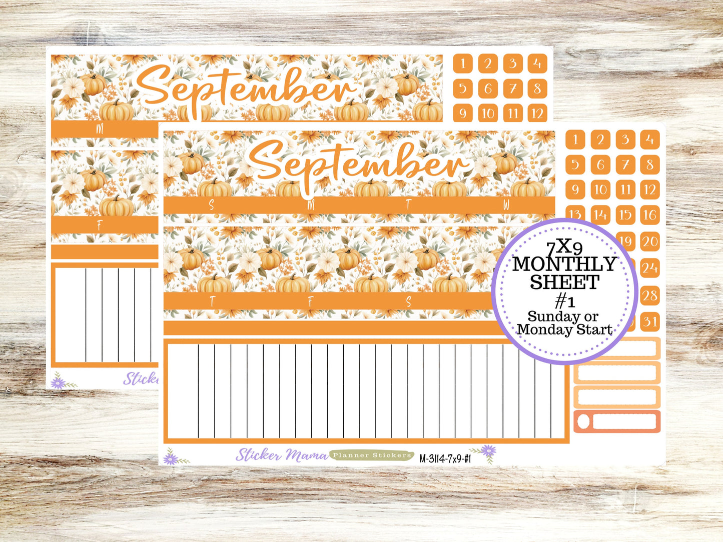 ERIN CONDREN Monthly Kit-3114 || 7X9 ||  Pumpkin Paradise Monthly  - 7x9 EC September Monthly Kit - September Monthly Planner Kits -