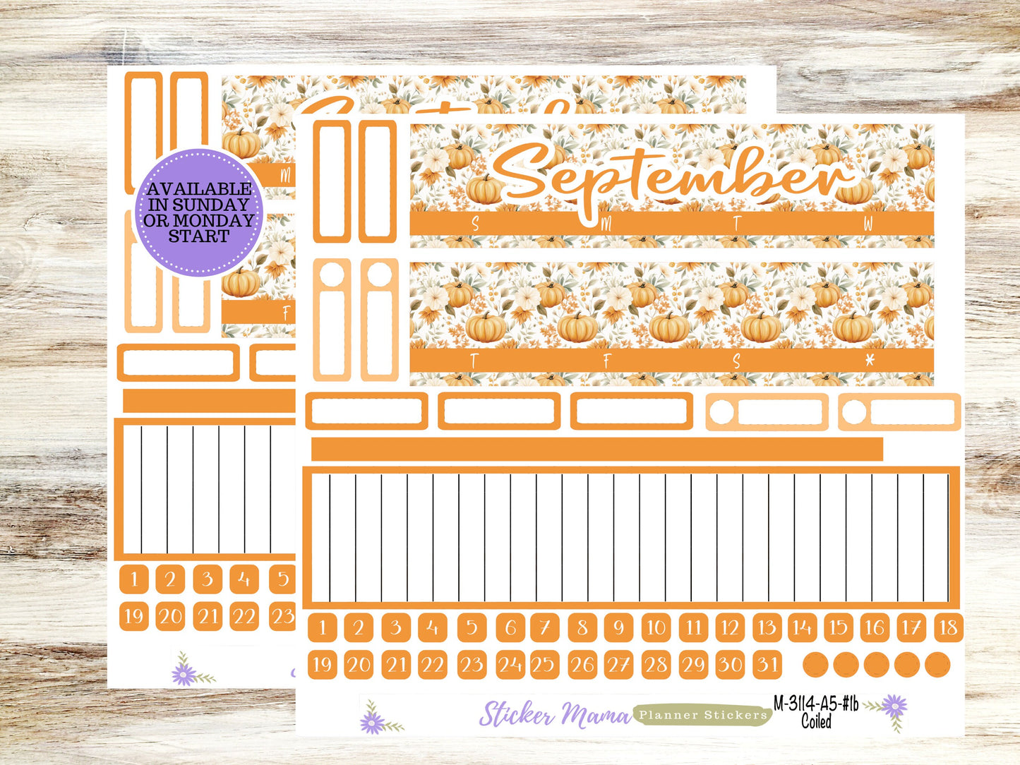 ERIN CONDREN Monthly  Kit-3114 || A5 || Pumpkin Paradise Stickers  || - ec September Monthly Kit - September Monthly Planner Kits - Monthly