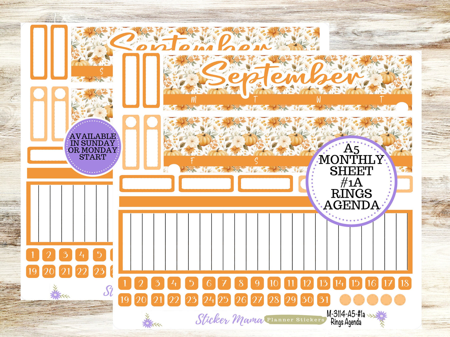 ERIN CONDREN Monthly  Kit-3114 || A5 || Pumpkin Paradise Stickers  || - ec September Monthly Kit - September Monthly Planner Kits - Monthly