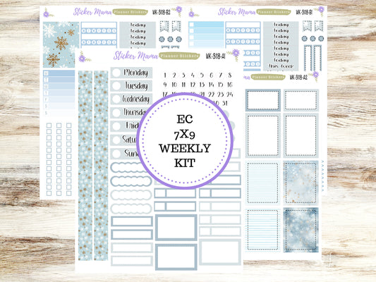 ERIN CONDREN WK-3118 || Arctic Frost || Weekly Planner Kit || Erin Condren || Hourly Planner Kit || Vertical Planner Kit