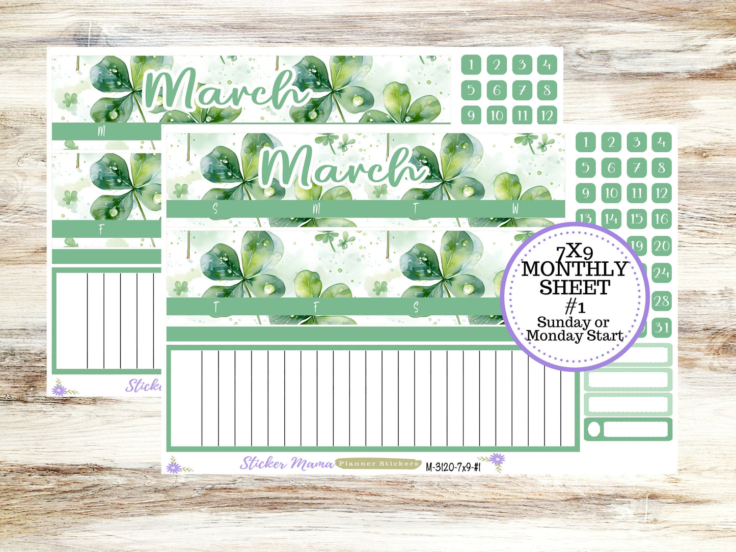 ERIN CONDREN Monthly Kit-3120 || 7X9 ||  Shamrock Magic Monthly  - 7x9 EC February Monthly Kit -  Monthly Planner Kits -  Monthly Budget