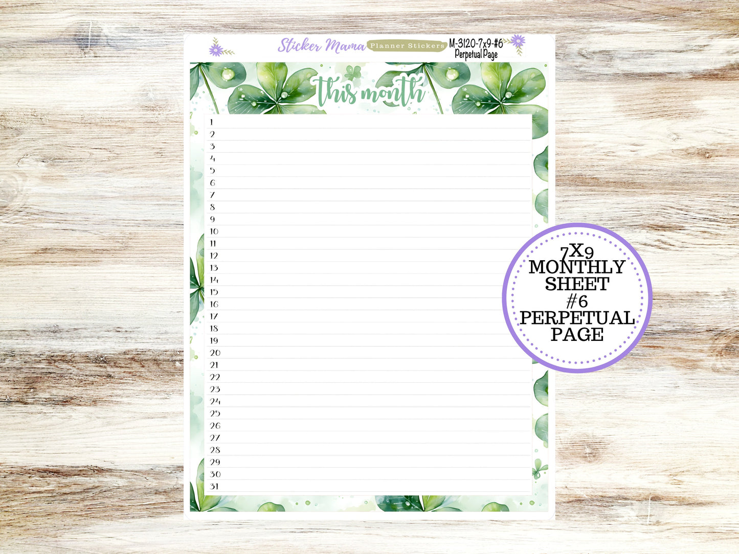 ERIN CONDREN Monthly Kit-3120 || 7X9 ||  Shamrock Magic Monthly  - 7x9 EC February Monthly Kit -  Monthly Planner Kits -  Monthly Budget