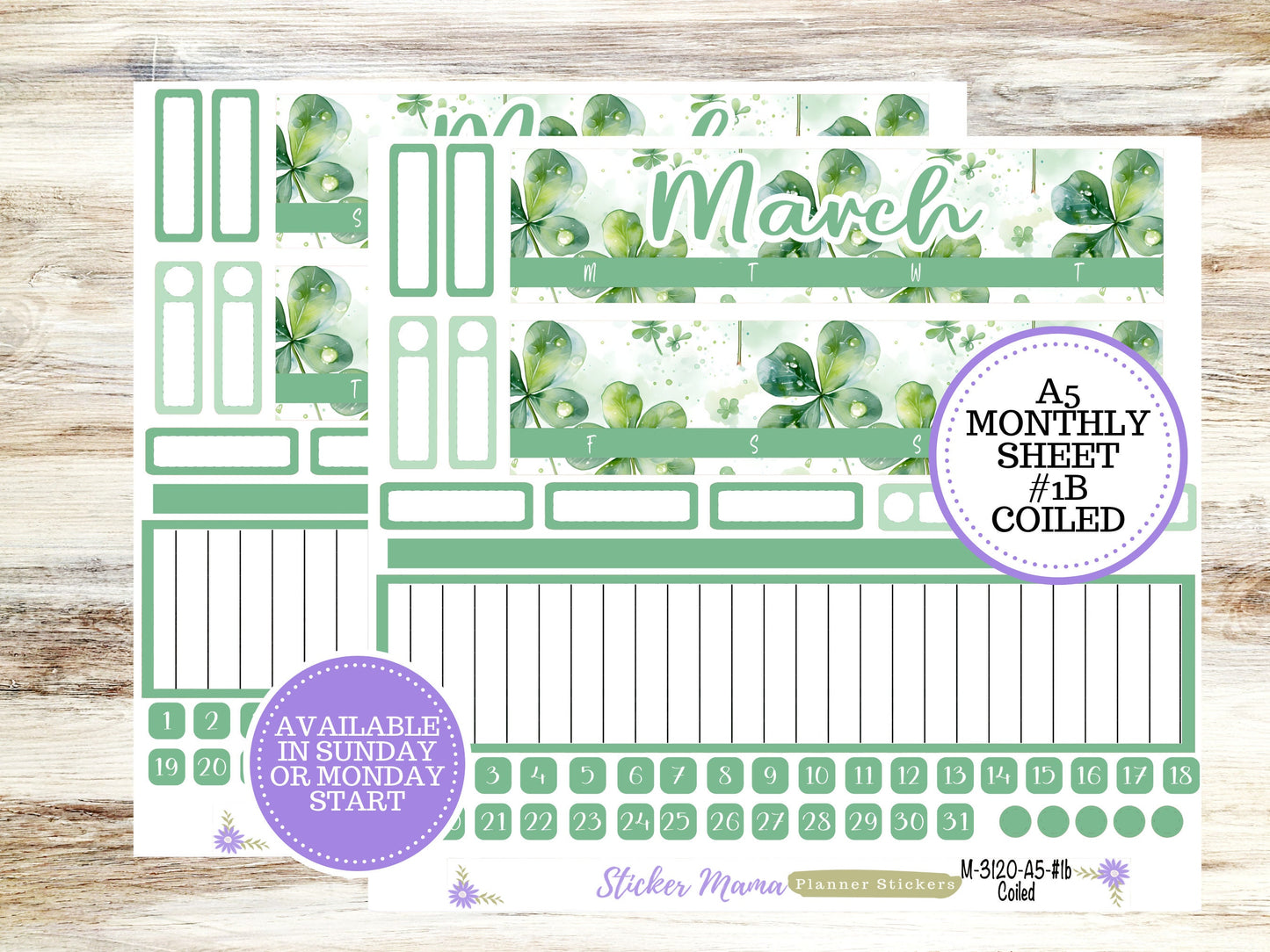 ERIN CONDREN Monthly  Kit-3120 || A5 || Shamrock Magic Stickers  || - ec March Monthly Kit - March Monthly Planner Kits - Monthly