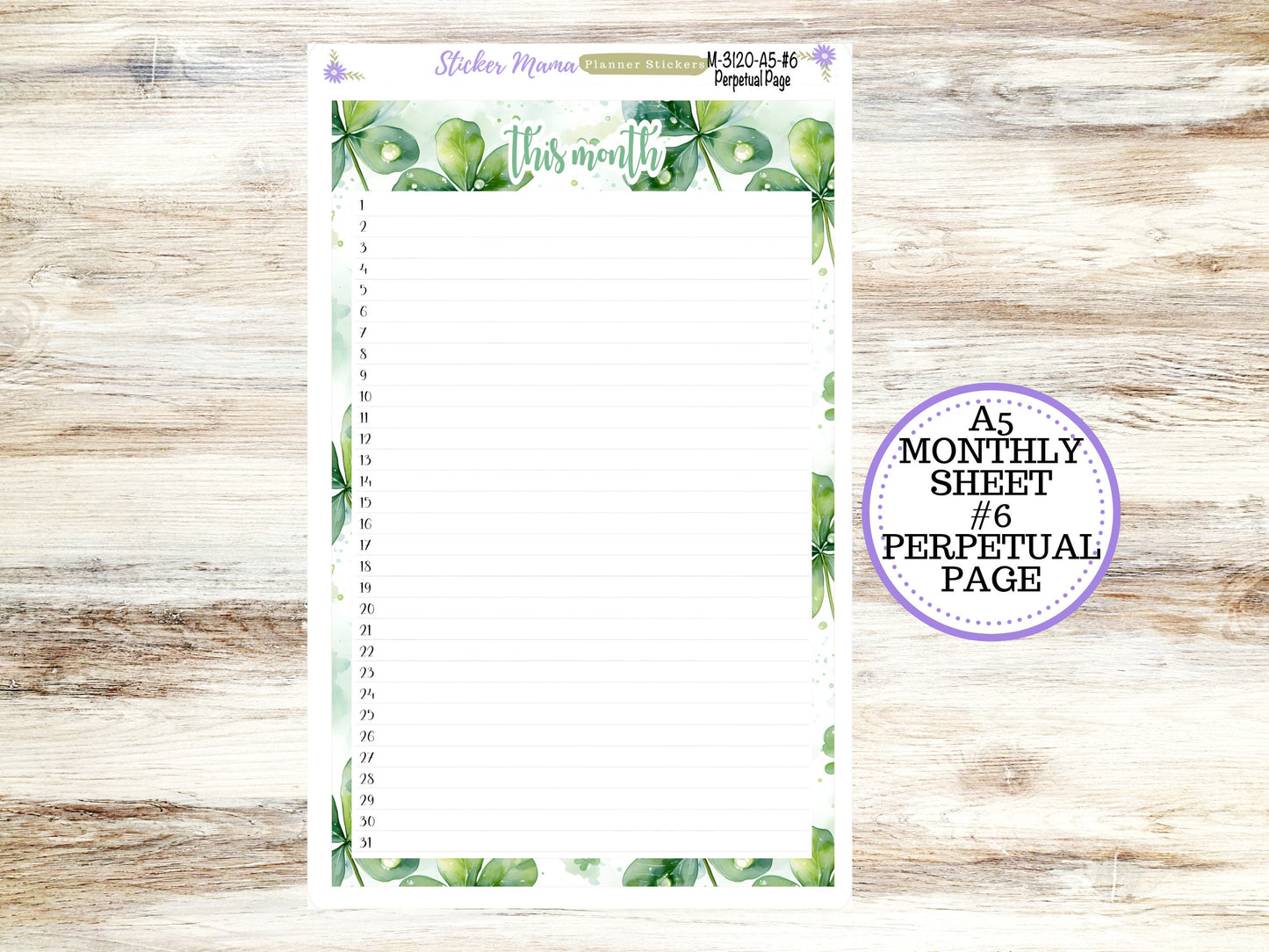 ERIN CONDREN Monthly  Kit-3120 || A5 || Shamrock Magic Stickers  || - ec March Monthly Kit - March Monthly Planner Kits - Monthly