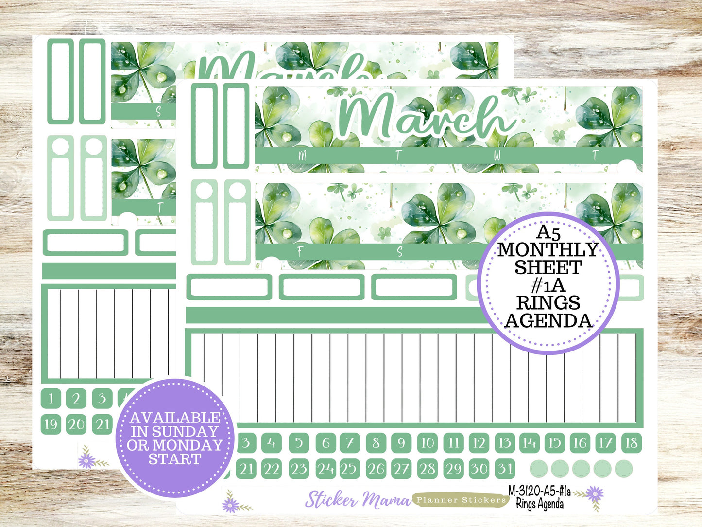 ERIN CONDREN Monthly  Kit-3120 || A5 || Shamrock Magic Stickers  || - ec March Monthly Kit - March Monthly Planner Kits - Monthly