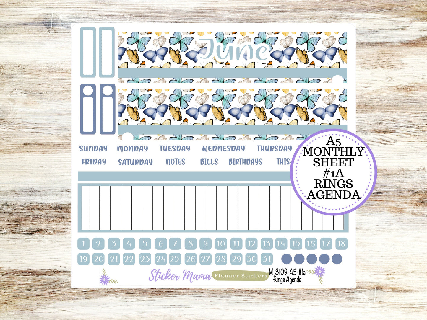 MONTHLY KIT-3112 || A5 || Butterflies Spring Stickers  || - ec June Monthly Kit - June Monthly Planner Kits - Monthly Pages